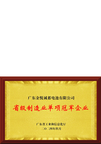 廣東省2024年省級制造業(yè)單項冠軍企業(yè)